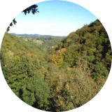 Gorges de la Canche ( © Alain Millot )